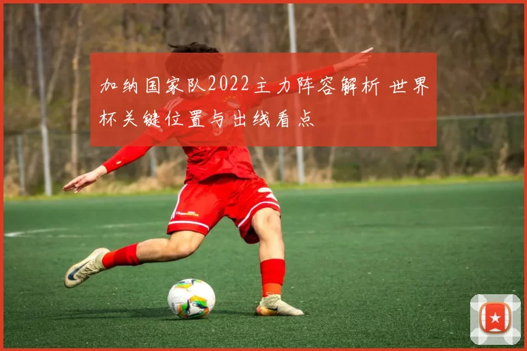 加纳国家队2022主力阵容解析 世界杯关键位置与出线看点