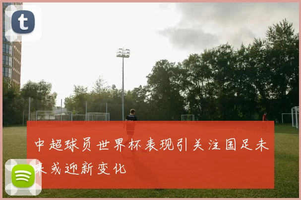 中超球员世界杯表现引关注国足未来或迎新变化