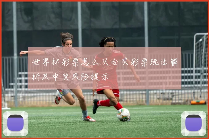 世界杯彩票怎么买合买彩票玩法解析及中奖风险提示