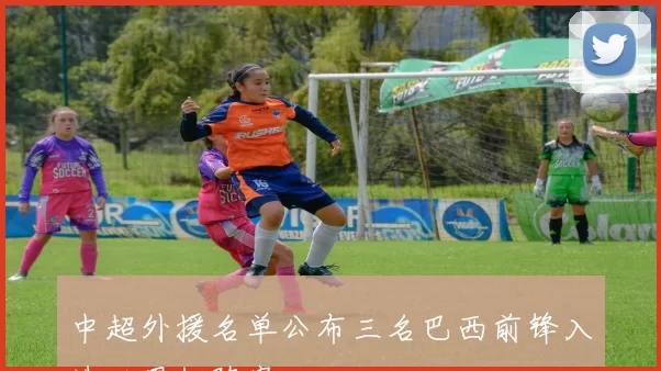中超外援名单公布三名巴西前锋入选世界杯阵容